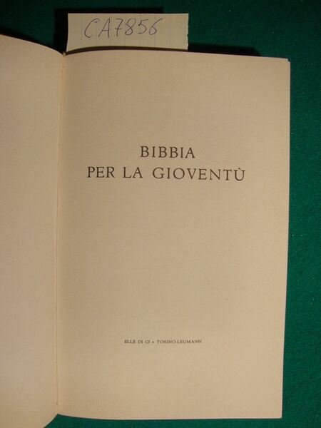 Bibbia per la gioventù