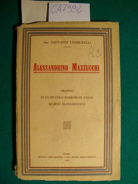 Alessandrino Mazzucchi - Profilo di un piccolo inserviente Santo di …