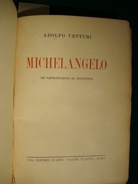 Michelangelo