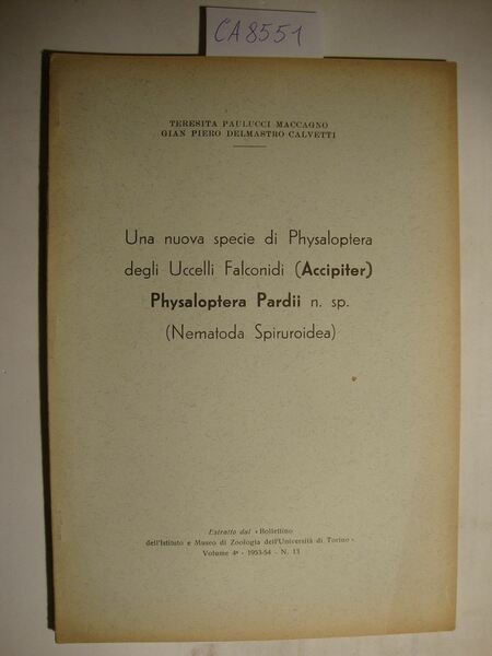 Una nuova specie di Physaloptera degli Uccelli Falconidi (Accipiter) Physaloptera … | Immagine principale