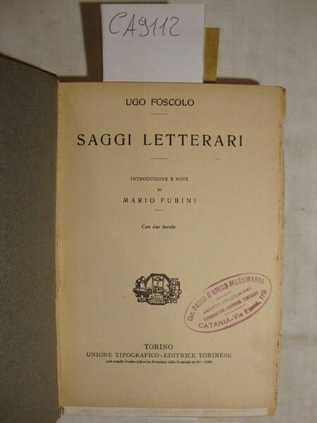 Saggi letterari