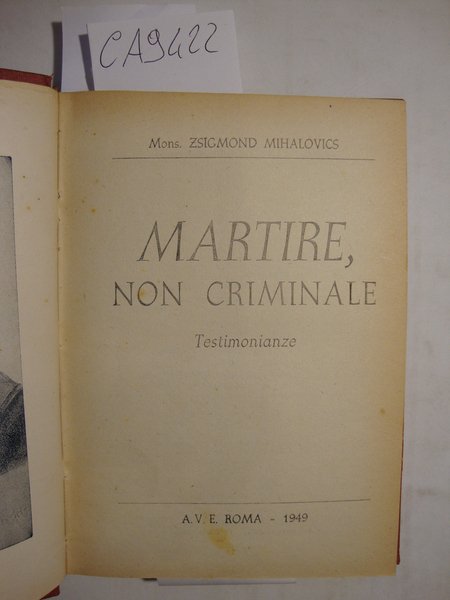 Martire, non criminale (Testimonianze) | Immagine Gallery 2