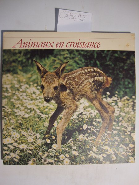 Animaux en croissance | Immagine principale