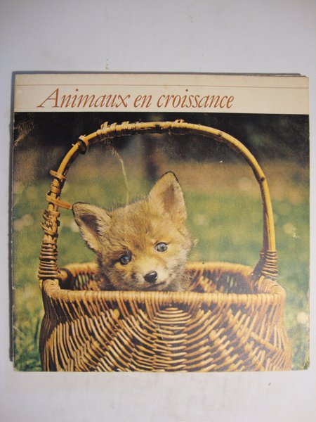 Animaux en croissance | Immagine Gallery 2