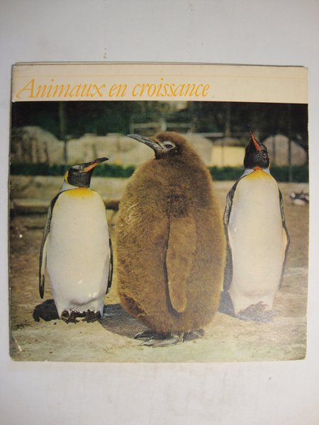 Animaux en croissance | Immagine Gallery 4