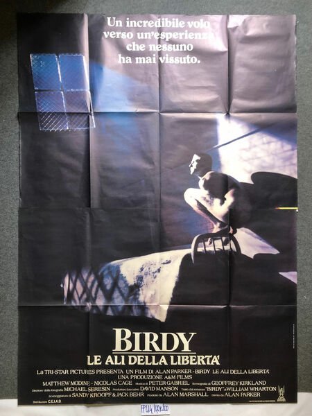 Alan Parker Birdy - Le ali della libertà AEM Films …