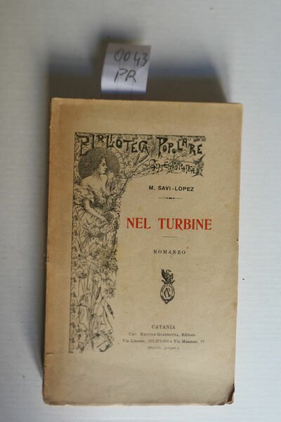 Nel turbine, romanzo