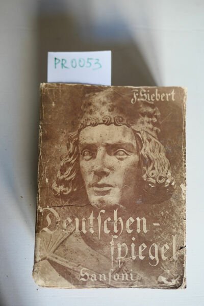 Deutschenspiegel ein Lesebuch