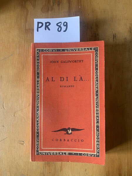 Al di là, romanzo