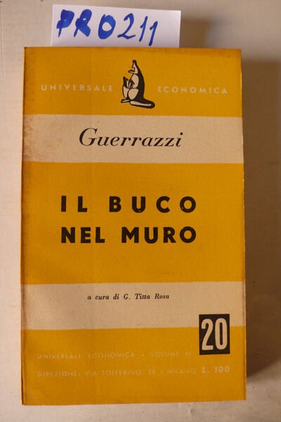Il buco nel muro,romanzo
