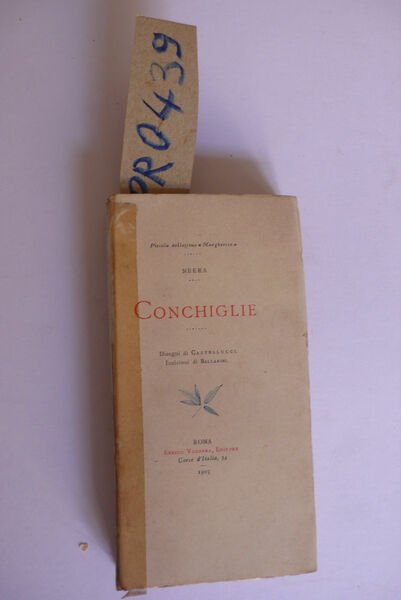 Conchiglie | Immagine Gallery 2