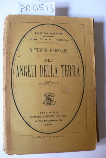 Gli angeli della terra | Immagine principale