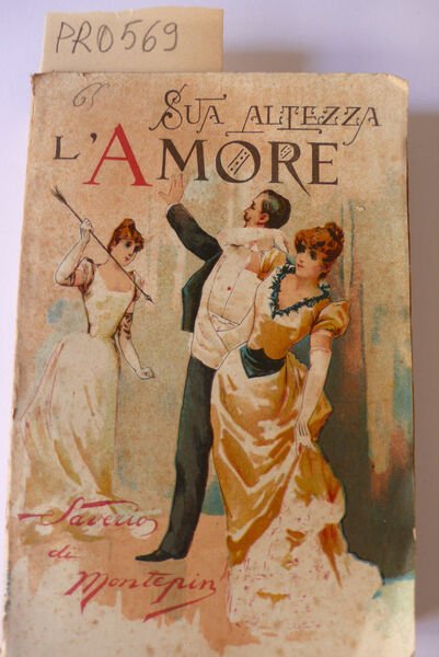 Sua altezza l'amore, romanzo