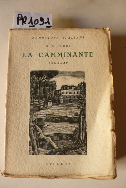 La camminante, romanzo