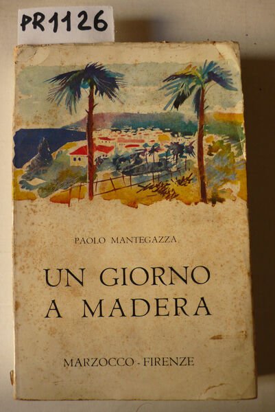 Un giorno a Madera, romanzo