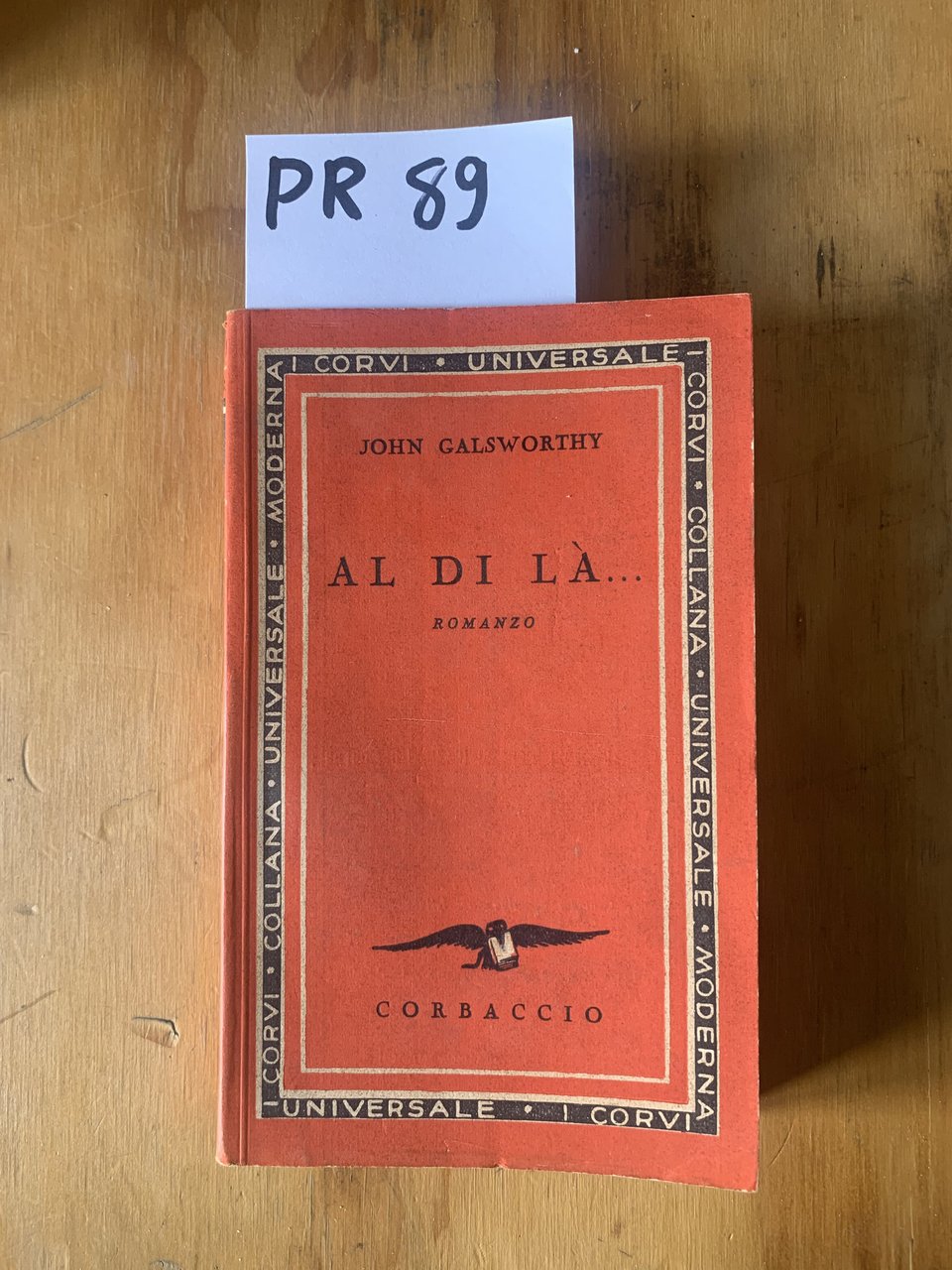 Al di là, romanzo