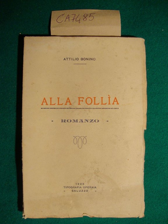 Alla follia - Romanzo