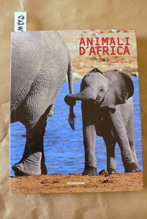 Animali d'Africa