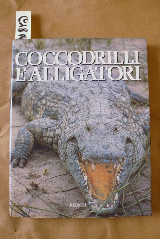 Coccodrilli e alligatori