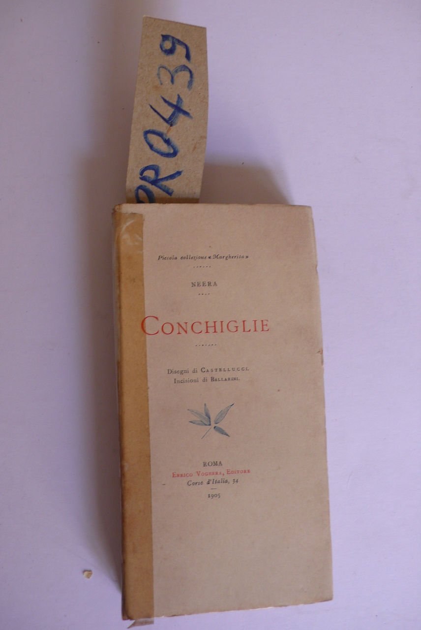 Conchiglie | Immagine principale