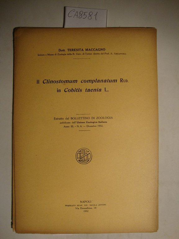 Il Clinostomum complanatum Rud. in Cobitis taenia L.