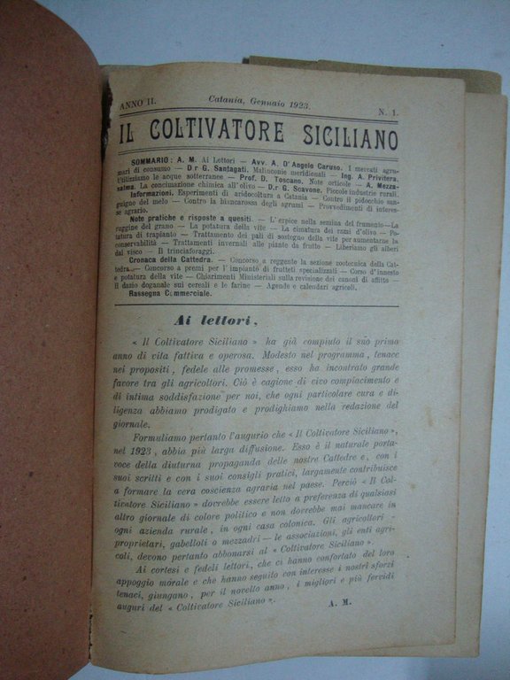 Il Coltivatore Siciliano (fasc. N. 1, anno II)