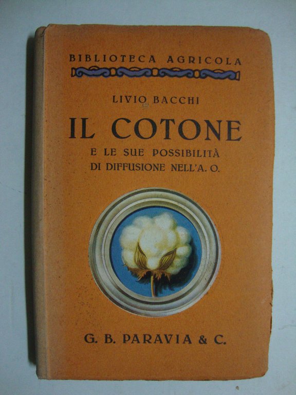 Il cotone (e le sue possibilità di diffusione nell'A. O.)