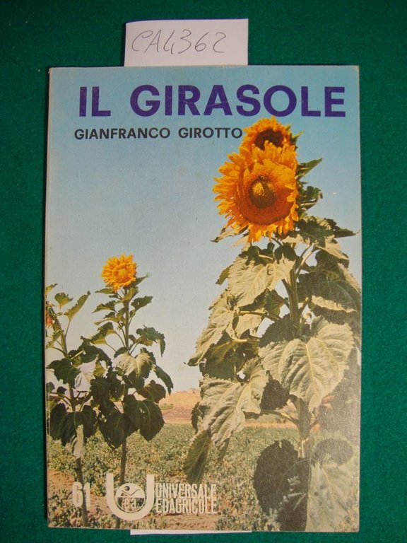 Il girasole