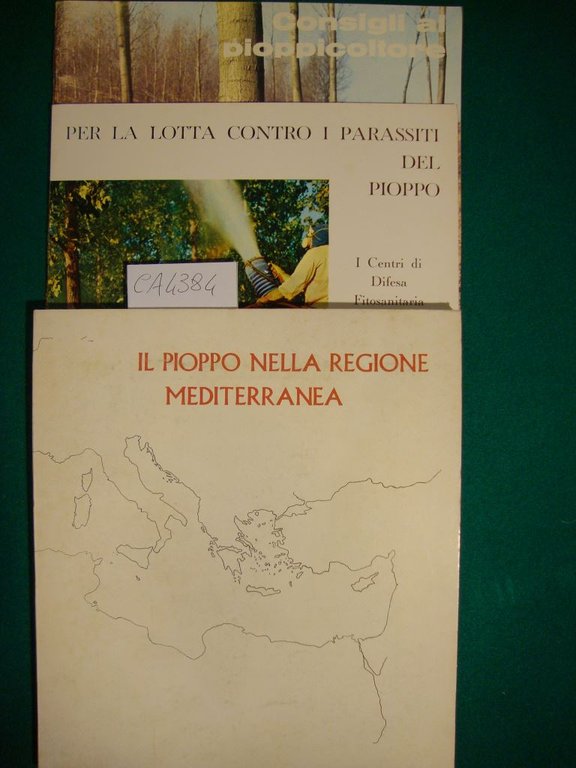 Il pioppo nella regione mediterranea
