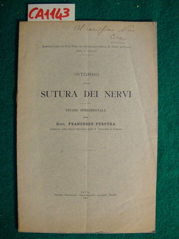 Intorno alla Sutura dei Nervi - Studio sperimentale | Immagine Gallery 2