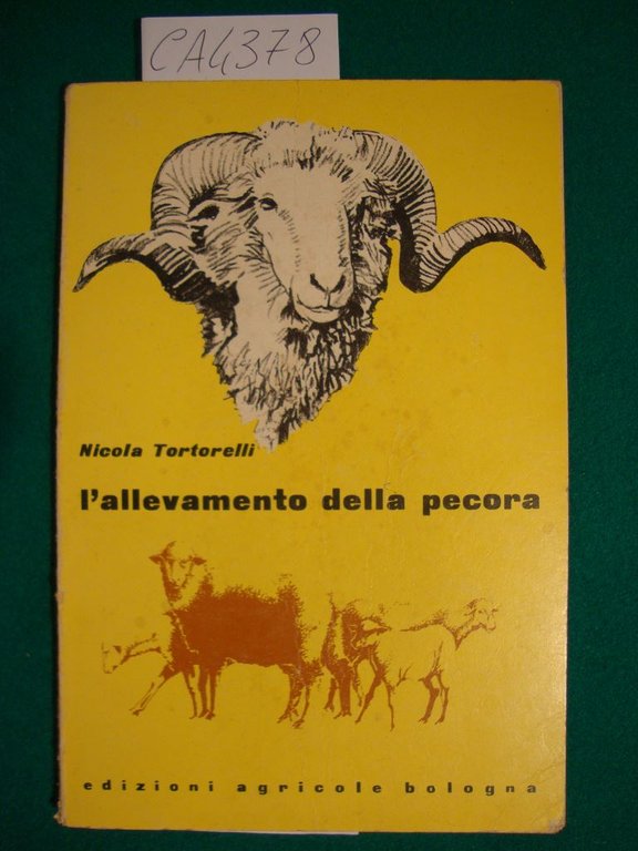 L'allevamento della pecora