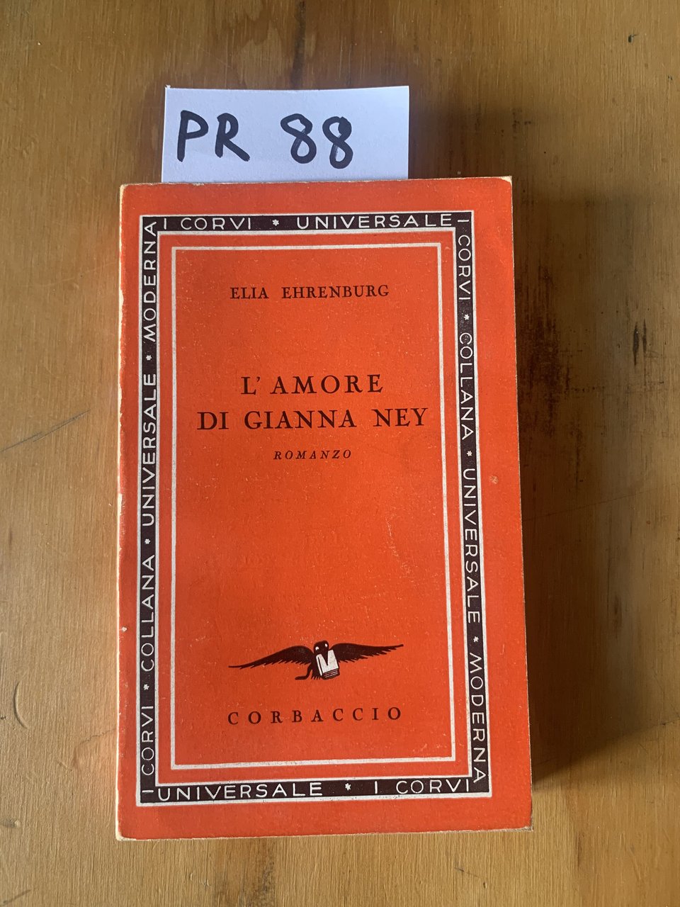 L'amore di Gianna Ney, romanzo