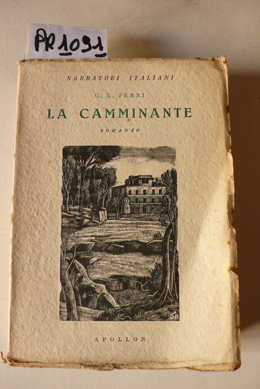 La camminante, romanzo