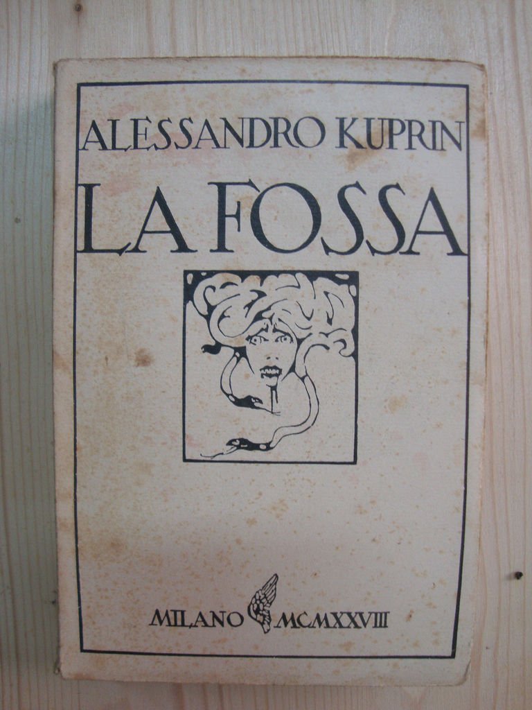 La fossa (Romanzo russo)