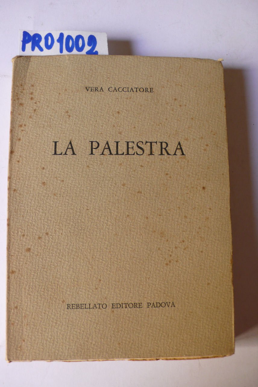 La palestra, romanzo