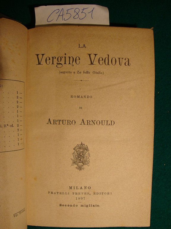 La Vergine Vedova - Romanzo