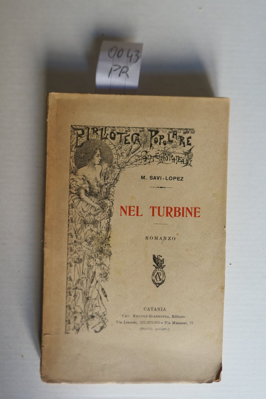 Nel turbine, romanzo