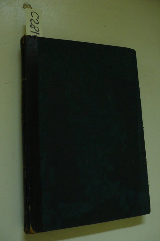 Nella lotta (Romanzo)