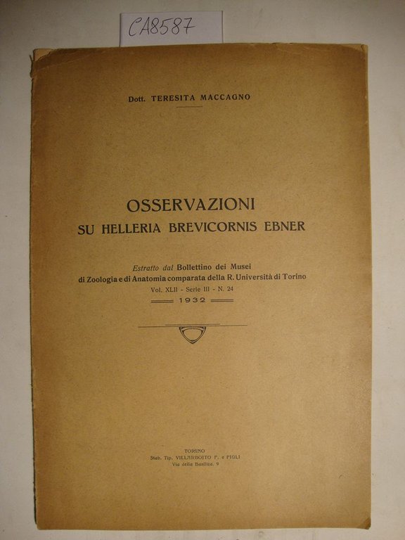 Osservazioni su helleria brevicornis ebner | Immagine Gallery 2