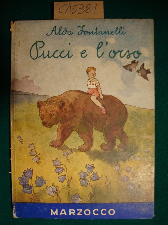 Pucci e l'orso