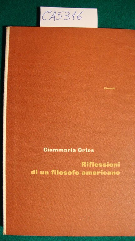 Riflessioni di un filosofo americano