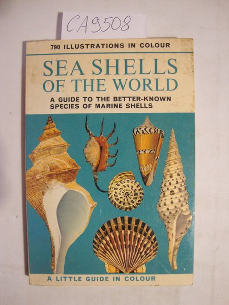 Sea shells of the world - A guide to the … | Immagine Gallery 2