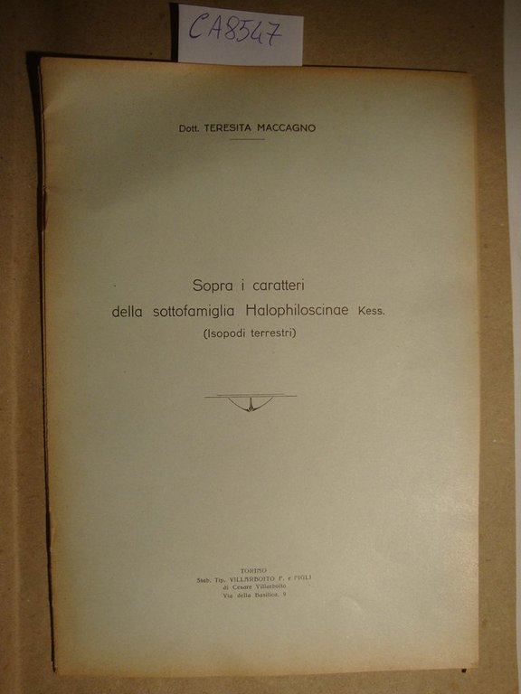 Sopra i caratteri dells sottofamiglia Halophiloscinae Kess. (Isopodi terrestri) | Immagine Gallery 2