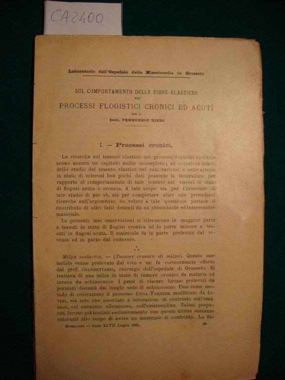 Sul comportamento delle fibre elastiche nei processi flogistici cronici ed …