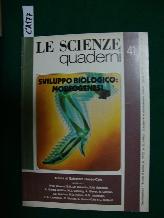 Sviluppo biologico: morfogenesi (periodico)