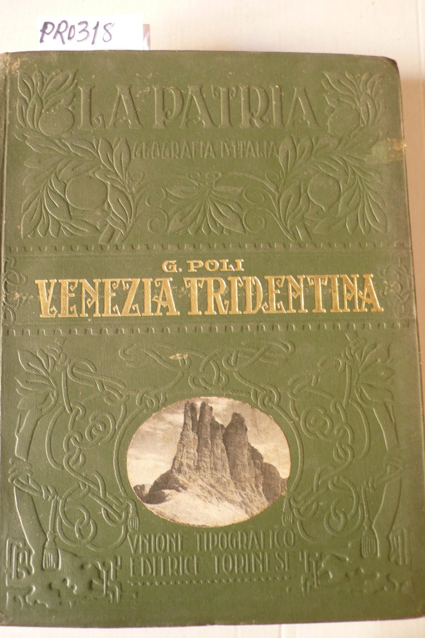 Venezia tridentina | Immagine principale