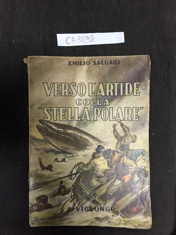 Verso l'Artide colla - Stella Polare -