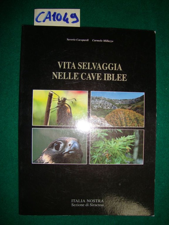 Vita selvaggia nelle cave iblee