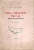 DIFESE IDRAULICHE FLUVIALI- OSSERVAZIONI E PROPOSTE PRATICHE (CON ILLUSTRAZIONI) | Immagine principale