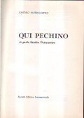 QUI PECHINO- vi parla Sandro Paternostro